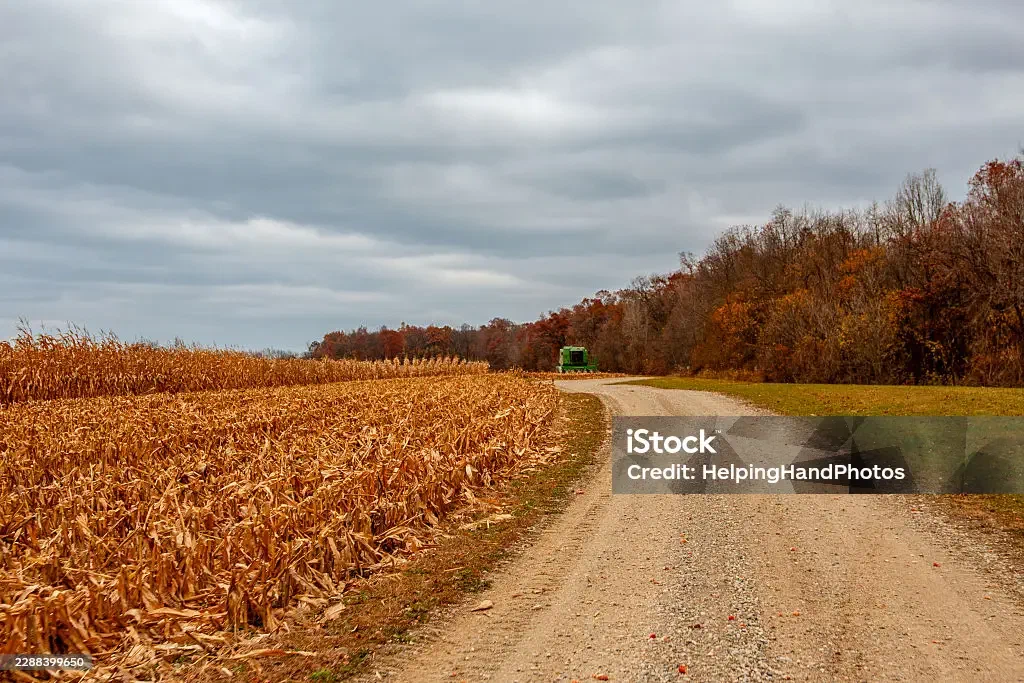 A rural road in Michigan's Thumb